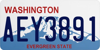 WA license plate AEY3891