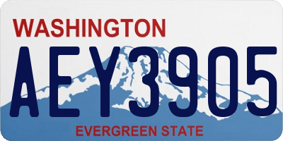 WA license plate AEY3905