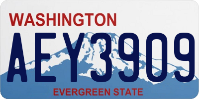 WA license plate AEY3909