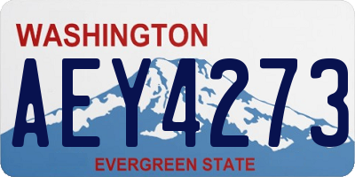 WA license plate AEY4273