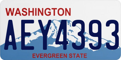 WA license plate AEY4393