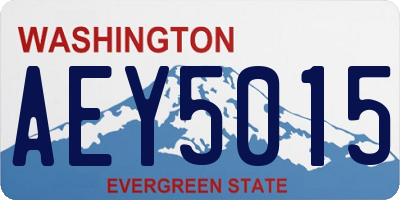 WA license plate AEY5015