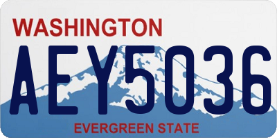 WA license plate AEY5036