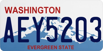 WA license plate AEY5203