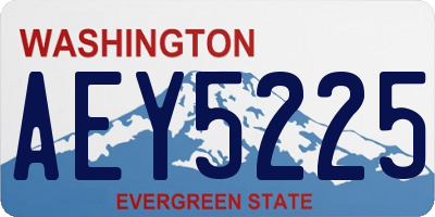 WA license plate AEY5225