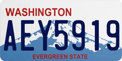 WA license plate AEY5919
