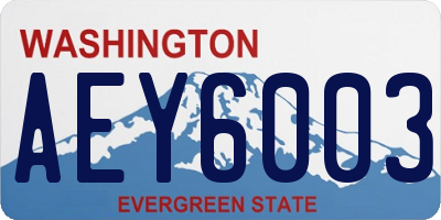 WA license plate AEY6003