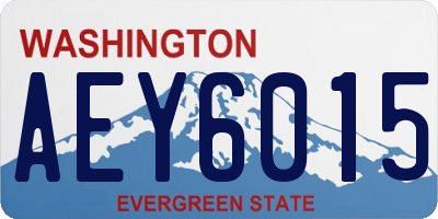 WA license plate AEY6015