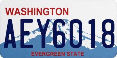 WA license plate AEY6018