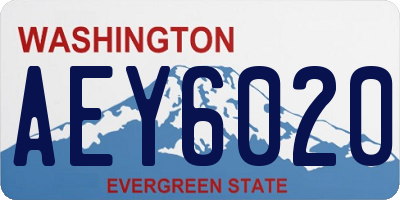 WA license plate AEY6020