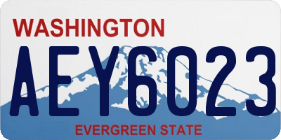 WA license plate AEY6023