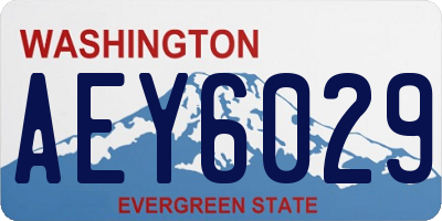 WA license plate AEY6029
