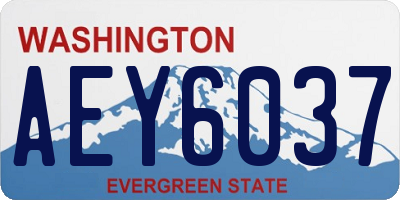 WA license plate AEY6037