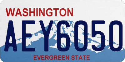 WA license plate AEY6050