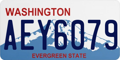 WA license plate AEY6079