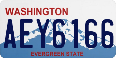 WA license plate AEY6166
