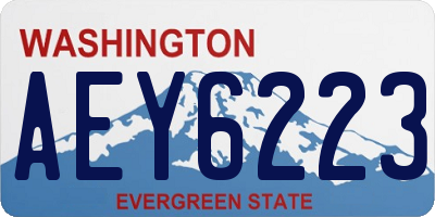 WA license plate AEY6223
