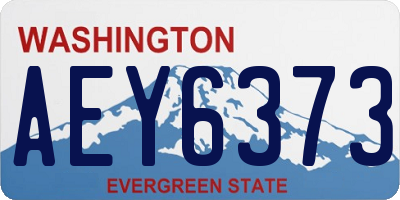 WA license plate AEY6373