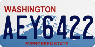 WA license plate AEY6422