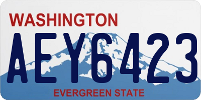 WA license plate AEY6423