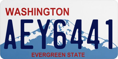 WA license plate AEY6441