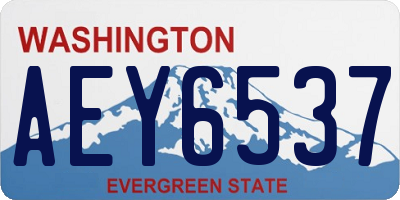 WA license plate AEY6537