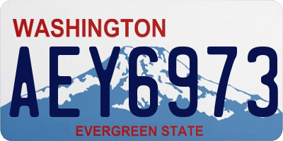 WA license plate AEY6973