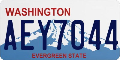 WA license plate AEY7044