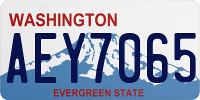 WA license plate AEY7065
