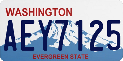 WA license plate AEY7125