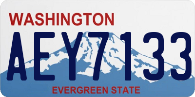 WA license plate AEY7133