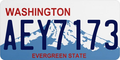 WA license plate AEY7173