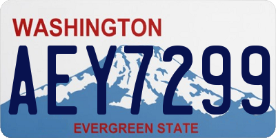 WA license plate AEY7299