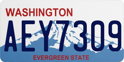 WA license plate AEY7309