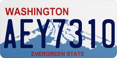 WA license plate AEY7310