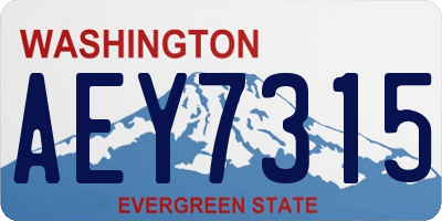 WA license plate AEY7315