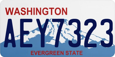 WA license plate AEY7323