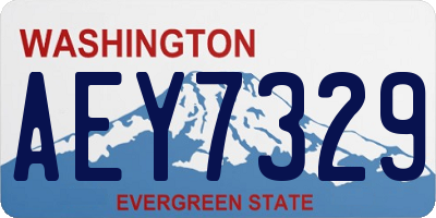 WA license plate AEY7329