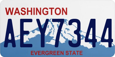 WA license plate AEY7344