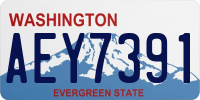 WA license plate AEY7391