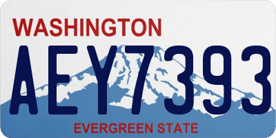 WA license plate AEY7393