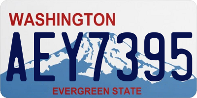 WA license plate AEY7395