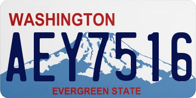 WA license plate AEY7516