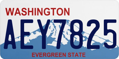 WA license plate AEY7825