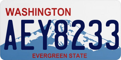 WA license plate AEY8233