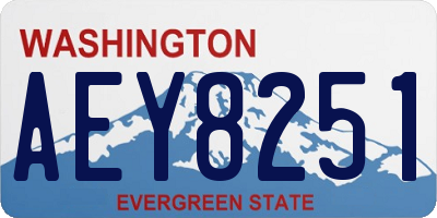 WA license plate AEY8251