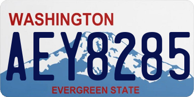 WA license plate AEY8285