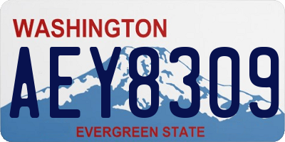 WA license plate AEY8309