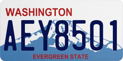 WA license plate AEY8501