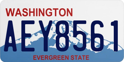 WA license plate AEY8561